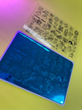 Placa #2