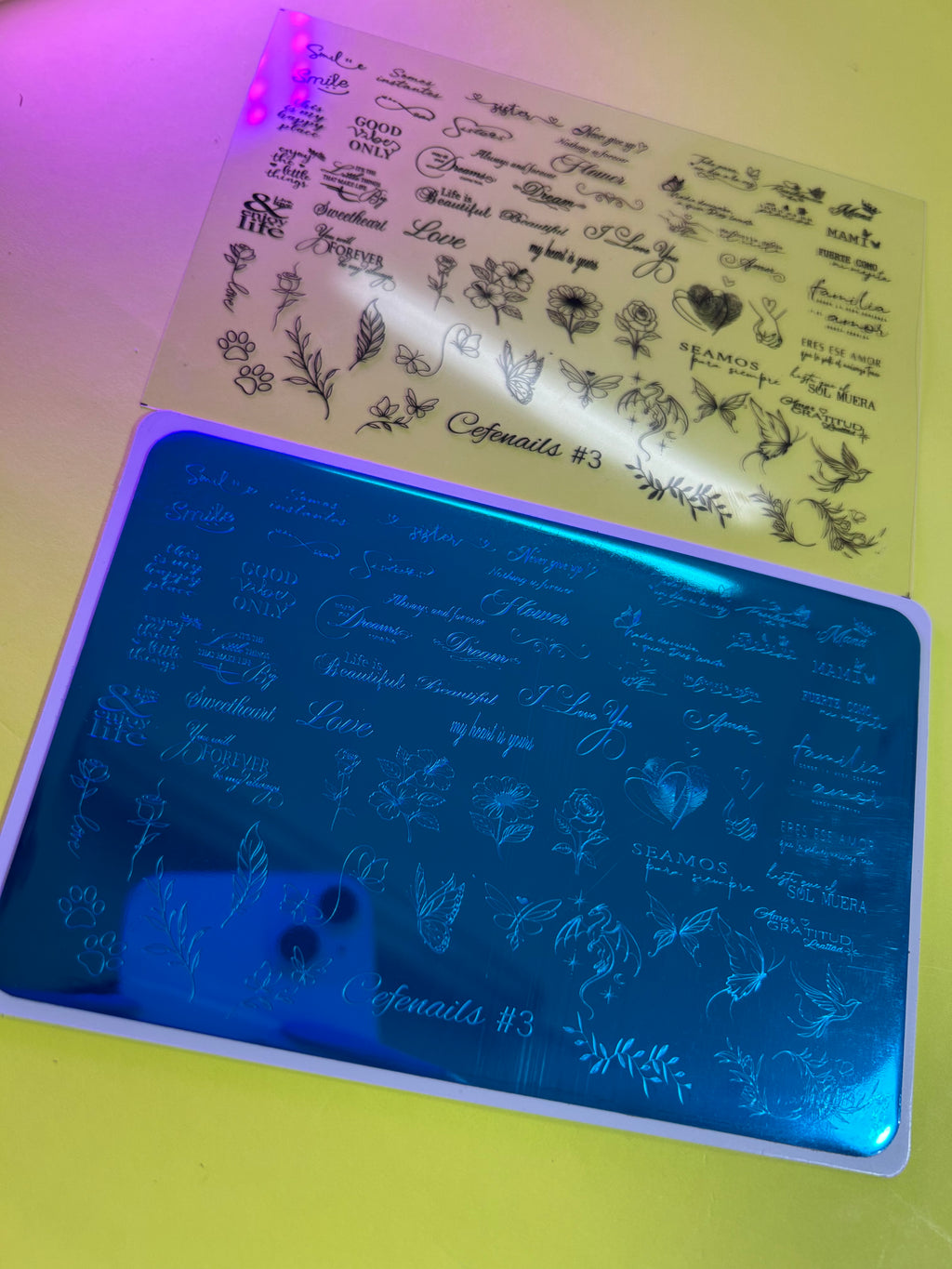 Placa #3